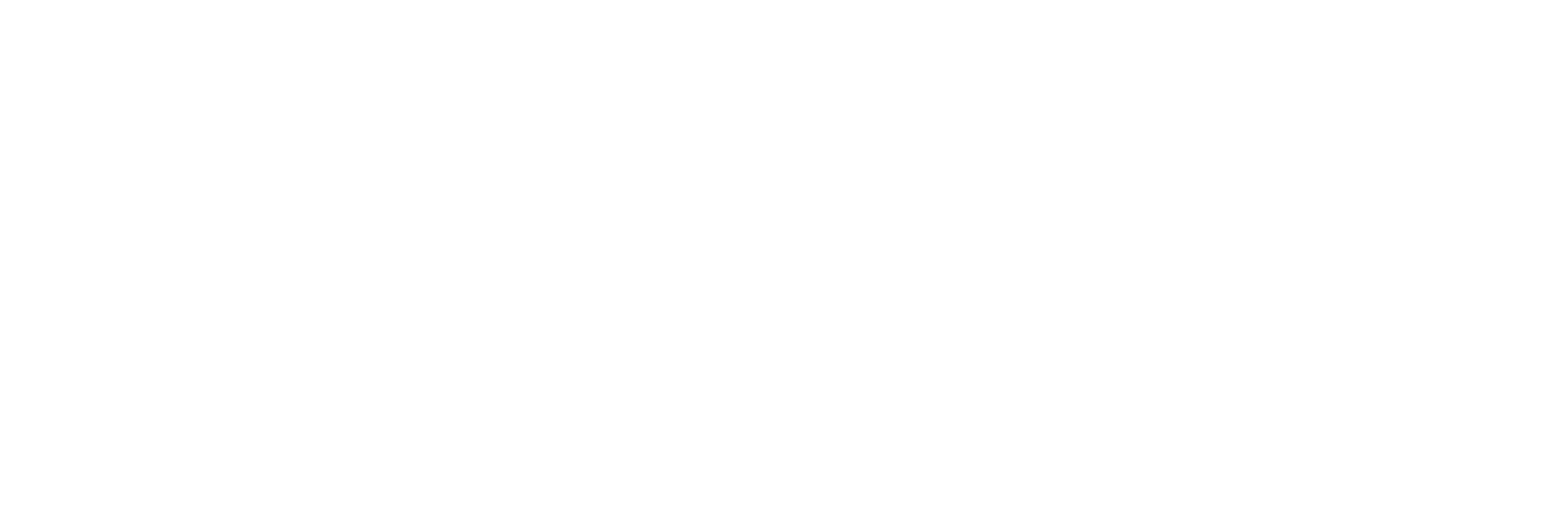 The Carnegie Journal